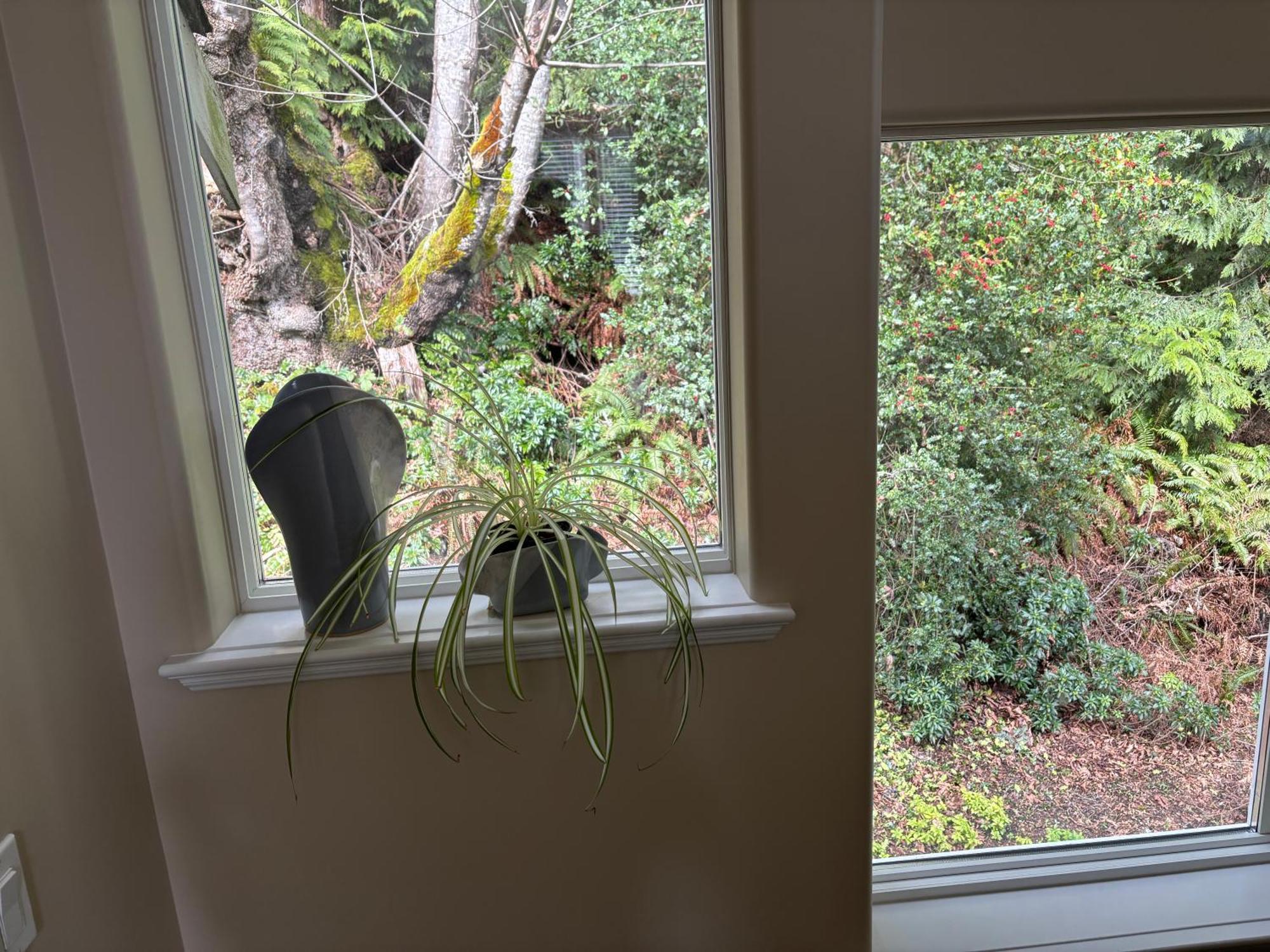 Sea And Cedar Retreat-A Home In A Tranquil Setting Cowichan Bay Exterior foto